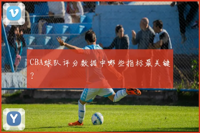 CBA球队评分数据中哪些指标最关键?