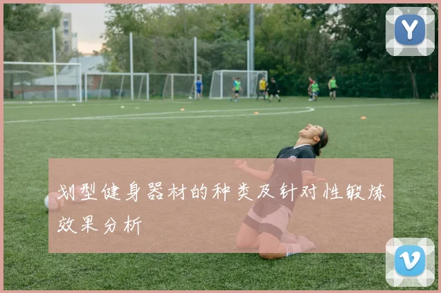 划型健身器材的种类及针对性锻炼效果分析