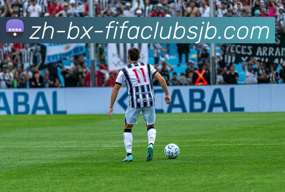 世界杯赛程平台生态图